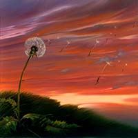 Владимир Куш, Белые цветы неба.